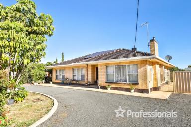 House For Sale - VIC - Mildura - 3500 - Exciting Development Opportunity - 2451m2  (Image 2)