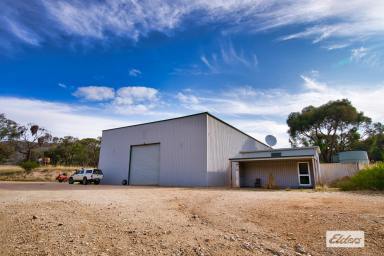 Mixed Farming For Sale - VIC - Landsborough - 3384 - Premium Organic Vineyard Opportunity in Victoria's Pyrenees Wine Region  (Image 2)