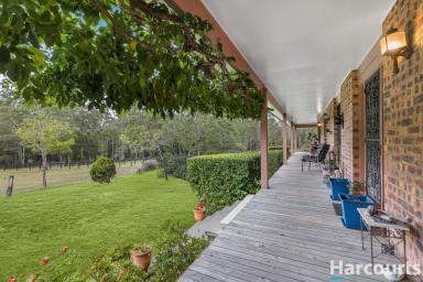 Acreage/Semi-rural For Sale - NSW - East Seaham - 2324 - Charming Private Country Retreat – Perfect for Horses and a Self-Sufficient Lifestyle  (Image 2)