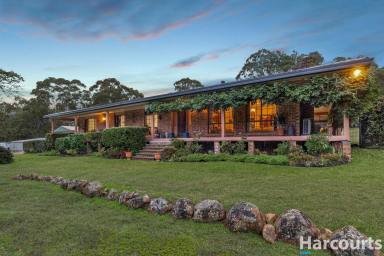 Acreage/Semi-rural For Sale - NSW - East Seaham - 2324 - Charming Private Country Retreat – Perfect for Horses and a Self-Sufficient Lifestyle  (Image 2)