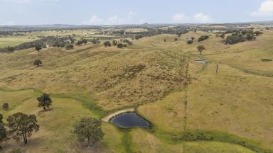 Livestock For Sale - VIC - Hilldene - 3660 - SECURE YOUR HILLVIEW  (Image 2)