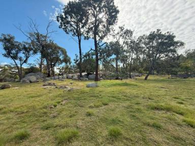 Residential Block For Sale - QLD - Stanthorpe - 4380 - Prime Residential Land  (Image 2)