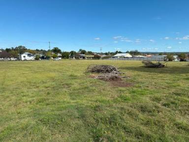 Residential Block For Sale - QLD - Stanthorpe - 4380 - Prime Residential Land  (Image 2)