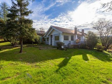 House For Sale - NSW - Bemboka - 2550 - ATTENTION FIRST HOME BUYERS  (Image 2)