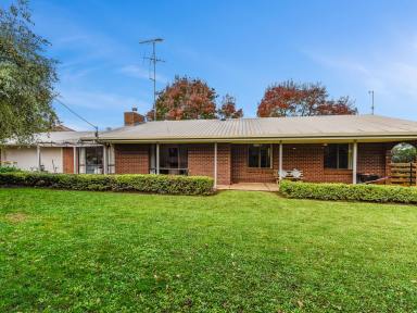 House For Sale - SA - Penola - 5277 - Private Family Home in Popular Cameron St  (Image 2)