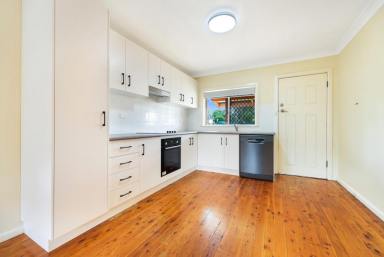 House For Lease - NSW - South Tamworth - 2340 - 3 bedroom Family Home  (Image 2)
