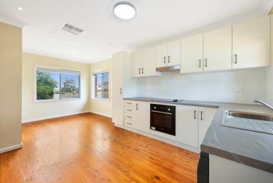 House For Lease - NSW - South Tamworth - 2340 - 3 bedroom Family Home  (Image 2)