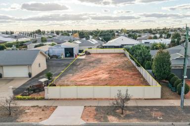 Residential Block For Sale - VIC - Mildura - 3500 - Prime Residential Allotment - 799m2  (Image 2)