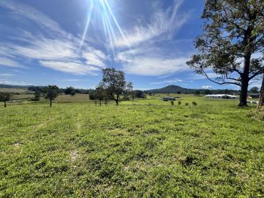 Residential Block For Sale - NSW - Kyogle - 2474 - BUILD YOUR DREAM HOME NOW!!  (Image 2)