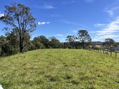 Residential Block For Sale - NSW - Kyogle - 2474 - BUILD YOUR DREAM HOME NOW!!  (Image 2)