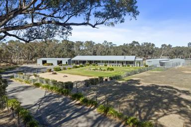 Mixed Farming For Sale - VIC - Longwood East - 3666 - Versatile Hobby Farm, Animal Facility or Equine Centre with Modern Family Home and Extensive Infrastructure  (Image 2)