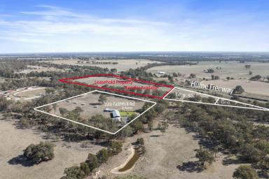 Mixed Farming For Sale - VIC - Longwood East - 3666 - Versatile Hobby Farm, Animal Facility or Equine Centre with Modern Family Home and Extensive Infrastructure  (Image 2)