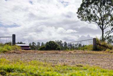 Residential Block For Sale - QLD - St Mary - 4650 - Versatile Rural Acreage with Shed, Dam and Dual Access  (Image 2)