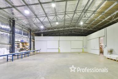 Horticulture For Sale - VIC - Irymple - 3498 - Iconic "Tabletop" Table Grape Property - 22.43Ha  (Image 2)