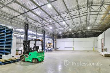 Horticulture For Sale - VIC - Irymple - 3498 - Specialised Iconic "Tabletop" Table Grape & Dried Fruit Property - 22.43Ha  (Image 2)
