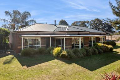 House For Sale - VIC - Marong - 3515 - Family Lifestyle Living on 12 Acres with Huge Shed!  (Image 2)