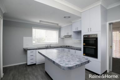 House For Lease - NSW - Ashmont - 2650 - Neat & Tidy Family Home  (Image 2)