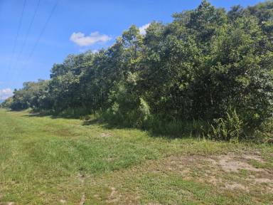 Residential Block Auction - QLD - Forrest Beach - 4850 - 5,260 SQ.M. (OVER 1.25 ACRE) BLOCK OF BEACH LAND!  (Image 2)