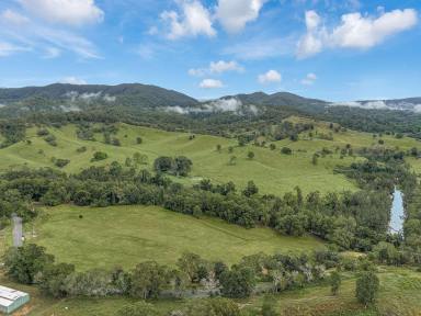 Residential Block For Sale - QLD - Laceys Creek - 4521 - 9.212ha of Usable Riverfront Land  (Image 2)