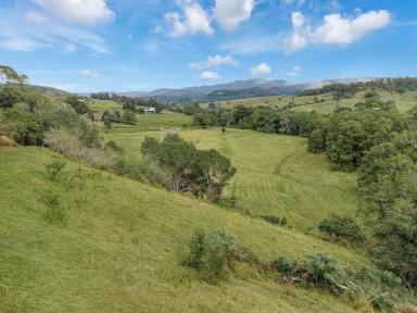 Residential Block For Sale - QLD - Laceys Creek - 4521 - 9.212ha of Usable Riverfront Land  (Image 2)