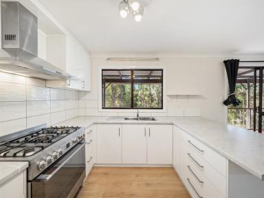 House For Sale - WA - Jalbarragup - 6275 - Nature lovers paradise near Nannup  (Image 2)