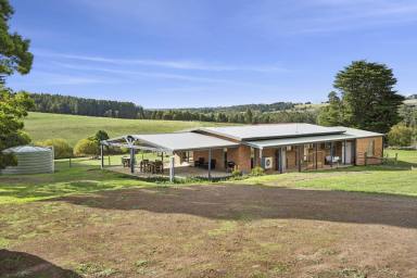 Lifestyle For Sale - VIC - Cooriemungle - 3268 - SIMPSON DISTRICT PROPERTY  (Image 2)