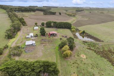 Mixed Farming For Sale - VIC - Cooriemungle - 3268 - VERSATILE SIMPSON DISTRICT PROPERTY  (Image 2)