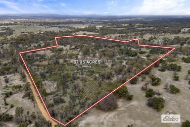 Residential Block For Sale - VIC - Pomonal - 3381 - Rare Development or Lifestyle Opportunity – Approx. 67 Acres in Picturesque Pomonal  (Image 2)