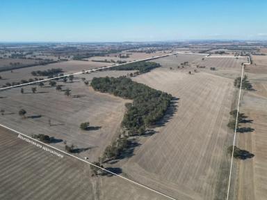 Cropping For Sale - NSW - Brocklesby - 2642 - "Excellent location, size and productivity"  (Image 2)