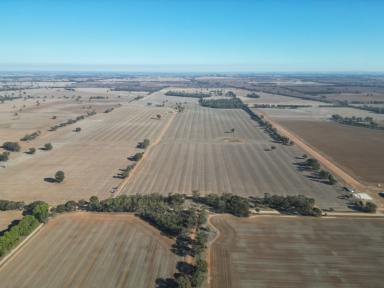 Cropping For Sale - NSW - Brocklesby - 2642 - "Excellent location, size and productivity"  (Image 2)