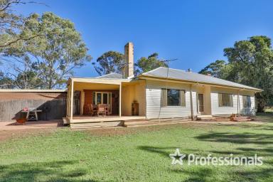 Mixed Farming For Sale - VIC - Wargan - 3505 - Impressive Cowra Station – 2614Ha with Extensive Water Frontage  (Image 2)