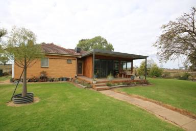 Cropping For Sale - VIC - Nanneella - 3561 - LIFESTYLE FARMLET WITH DUAL LIVING & QUALITY INFRASTRUCTURE - Approx. 31 ACRES  (Image 2)