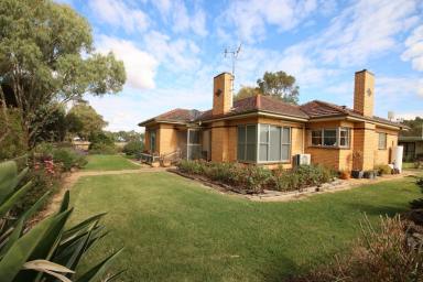 Cropping For Sale - VIC - Nanneella - 3561 - LIFESTYLE FARMLET WITH DUAL LIVING & QUALITY INFRASTRUCTURE - Approx. 31 ACRES  (Image 2)