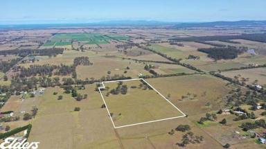 Residential Block For Sale - VIC - Devon North - 3971 - MOTIVATED VENDOR - ZONED RURAL LIVING (Image 2)