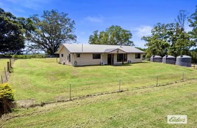House For Sale - QLD - Goomboorian - 4570 - A One of a Kind Lifestyle Retreat with Multiple Income Streams  (Image 2)