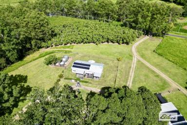 House For Sale - QLD - Goomboorian - 4570 - A One of a Kind Lifestyle Retreat with Multiple Income Streams  (Image 2)