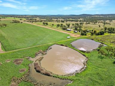 Mixed Farming For Sale - NSW - Sapphire - 2360 - Exclusion Fenced Grazing & Fodder Asset  (Image 2)