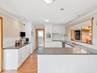 House For Sale - TAS - Beulah - 7306 - LIFESTYLE PROPERTY WITH IMPRESSIVE MOUNTAIN VIEWS  (Image 2)