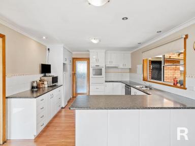 House Sold - TAS - Beulah - 7306 - LIFESTYLE PROPERTY WITH IMPRESSIVE MOUNTAIN VIEWS  (Image 2)