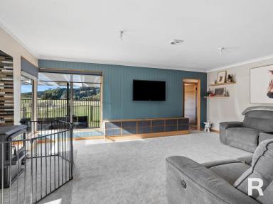 House Sold - TAS - Beulah - 7306 - LIFESTYLE PROPERTY WITH IMPRESSIVE MOUNTAIN VIEWS  (Image 2)