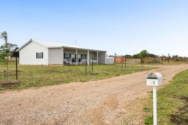 Acreage/Semi-rural For Sale - QLD - Westbrook - 4350 - The Dream Starts Here – Acreage with Home & Second House Site Ready to Go  (Image 2)