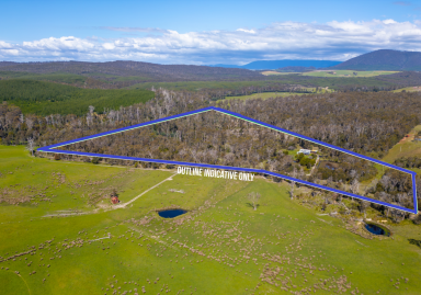 House For Sale - TAS - Nabowla - 7260 - Peaceful Lifestyle.  2 residences, 13.6 acres, great for horses, motorbikes and family fun.  (Image 2)