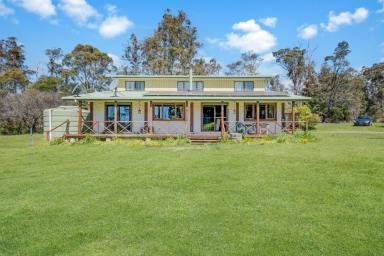 House For Sale - TAS - Nabowla - 7260 - Peaceful Lifestyle.  2 residences, 13.6 acres, great for horses, motorbikes and family fun.  (Image 2)