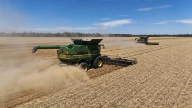 Cropping For Sale - QLD - Toobeah - 4498 - PRODUCTIVE CROPPING OPPORTUNITY  (Image 2)