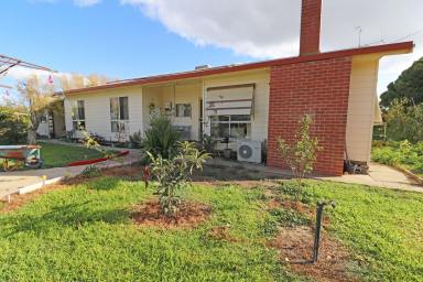 Mixed Farming For Sale - VIC - Kerang - 3579 - 300 Plus acre Farm  (Image 2)