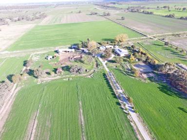 Mixed Farming For Sale - VIC - Kerang - 3579 - 300 Plus acre Farm  (Image 2)