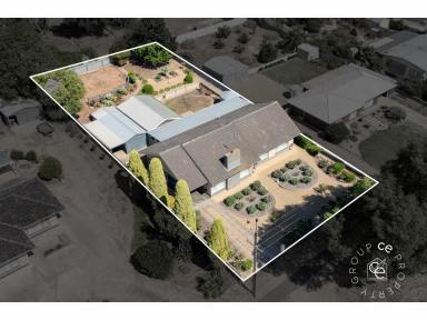 House For Sale - SA - Mannum - 5238 - Superb family home on a generously sized block  (Image 2)