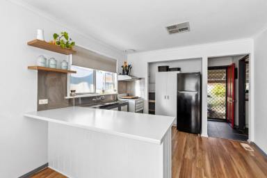 House For Sale - VIC - North Bendigo - 3550 - Charming Three-Bedroom Weatherboard Home in Prime North Bendigo Location  (Image 2)