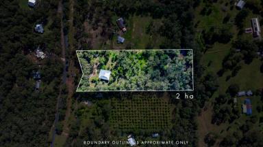 Acreage/Semi-rural For Sale - QLD - Pie Creek - 4570 - Queenslander Charm on Acreage  (Image 2)