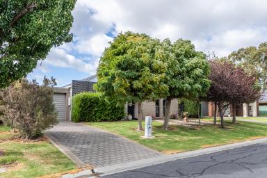 House For Sale - SA - Naracoorte - 5271 - Stylish & Contemporary Living  (Image 2)